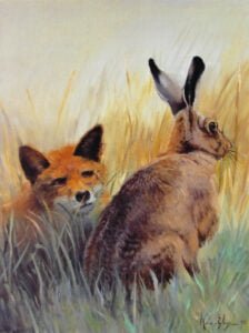 Le lièvre et le renard